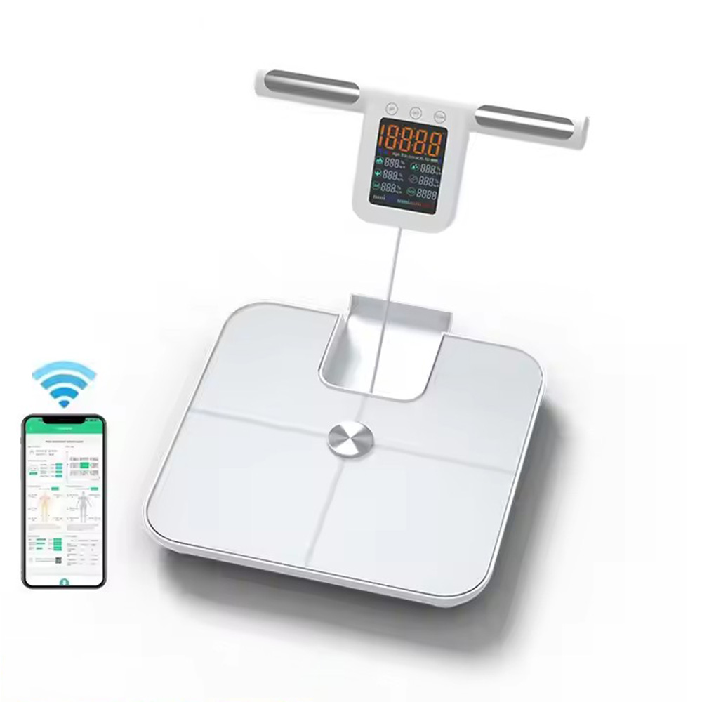 Body Fat Scale Smart - Smart Body Fat Scale for with