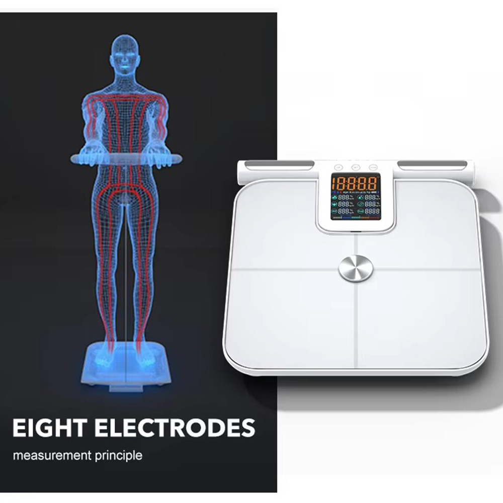 Smart Body Fat Scale for with  - Body Fat Scale Smart 评论和价格